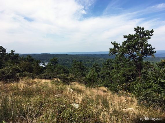 Culvers Gap view