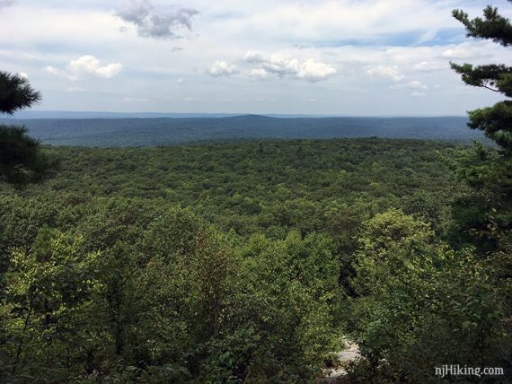 Viewpoint over an expanse of green trees.