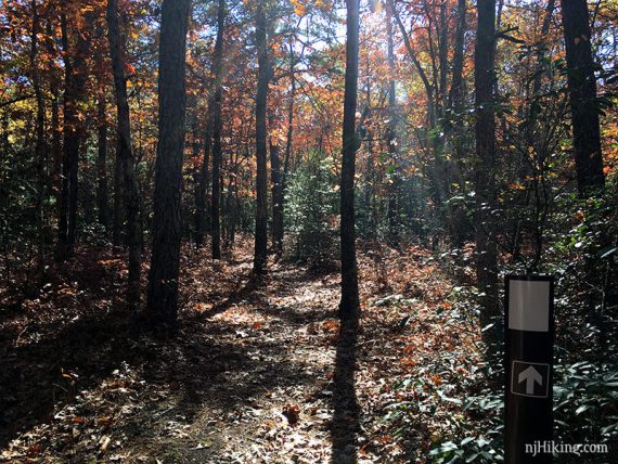 East Creek Trail marker next to a path.