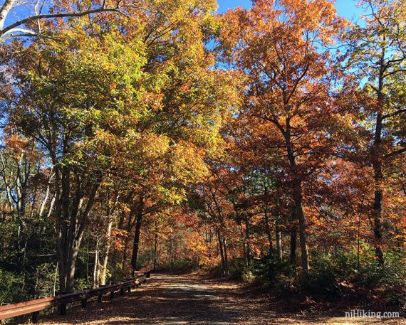 Fall foliage on Deans Branch Road.