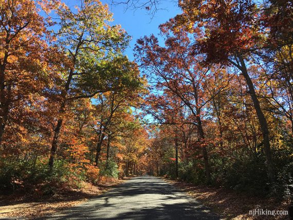 Sunset Road with fall foliage.