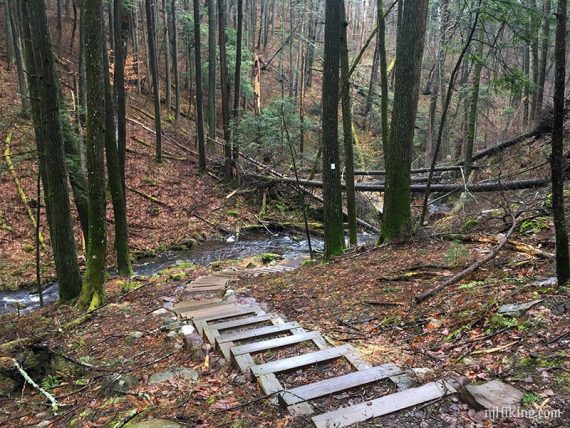 Wooden steps on a downhill trail.