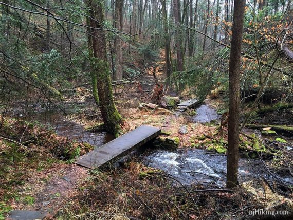 Wooden plank bridge over a stream.