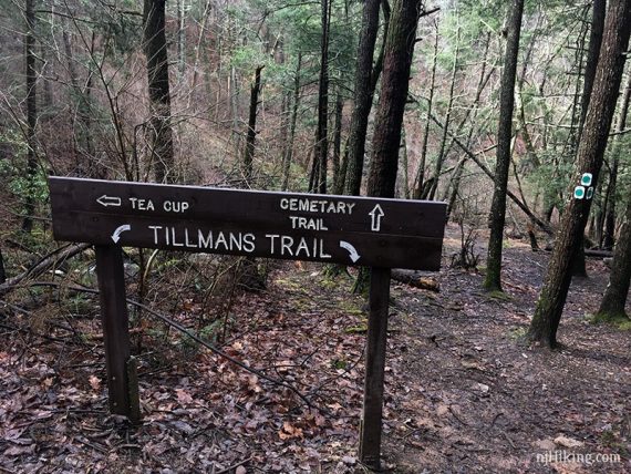 Trail sign for tea cup and cemetery trail.