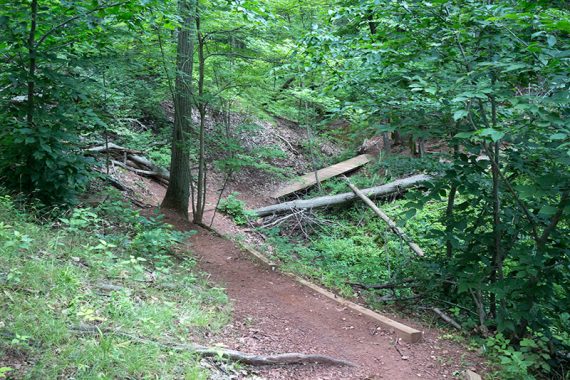 Dirt trail on the side of a hill.