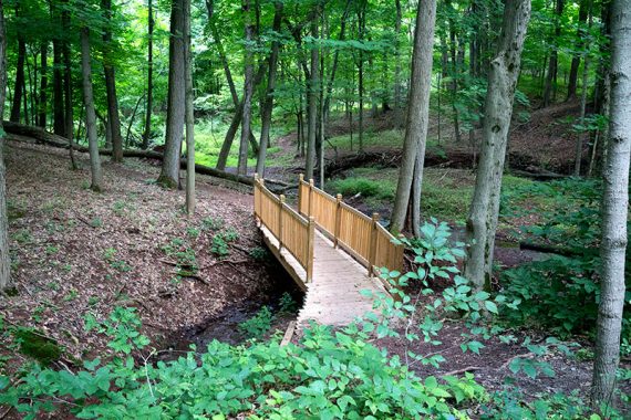 Decorative trail bridge.