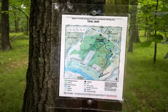 Trail maps marking 'you are here' 