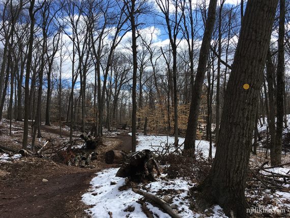 YELLOW trail with some snow.