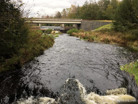 Dam in the distance with stream in the foreground