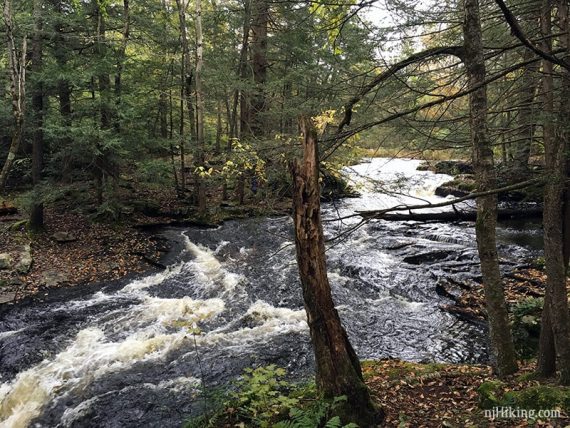 Rushing stream