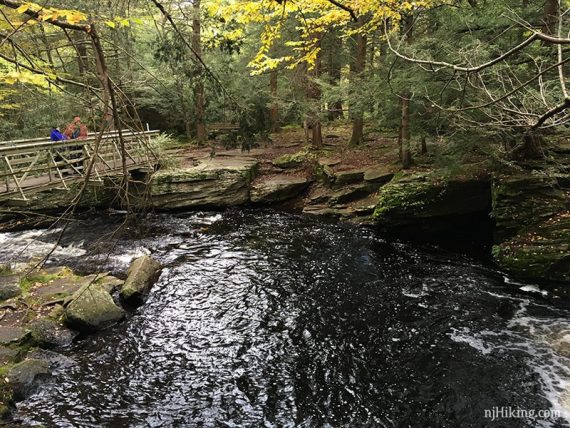 Trail bridge over stream