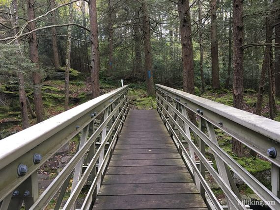 Standing on a trail bridge