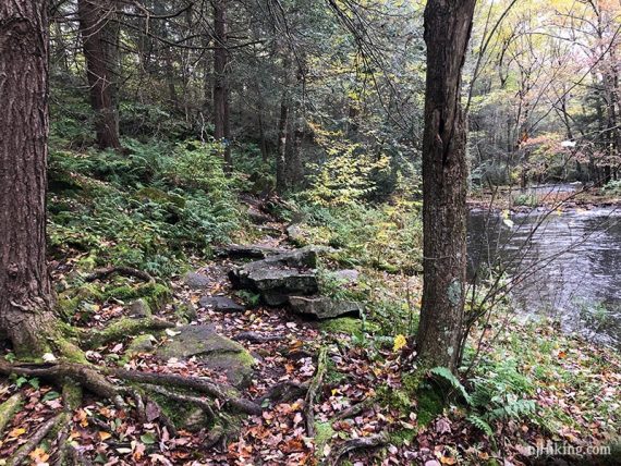 Rocky trail along stream