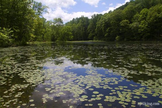 Ghost Lake with lily pads.