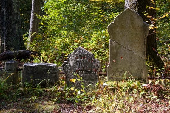 Old gravestones surrounded by brush.