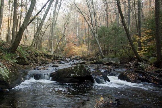 Black River flowing over rocks.