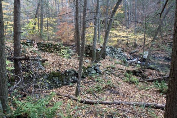 Near Kay's Cottage, unmarked trail