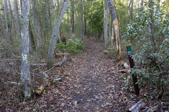Green Trail marker along the path.