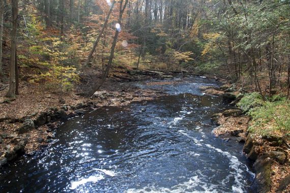 Black River surrounded by fall foliage.