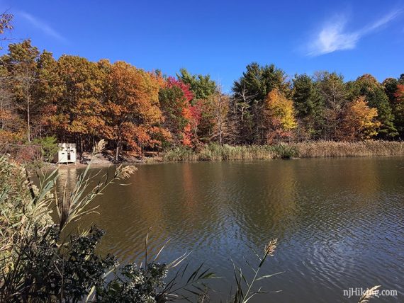 Wildlife blind seen across a pond.