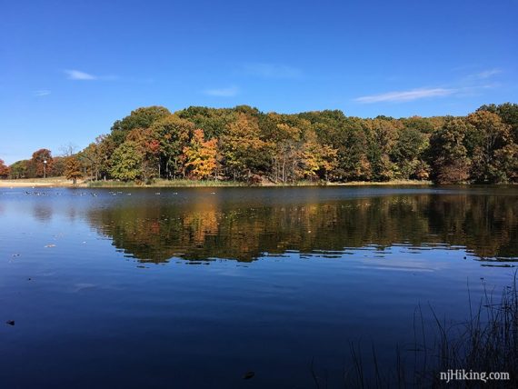 Fall foliage reflected in Hooks Creek lake.