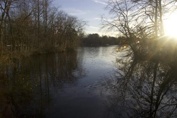Sunlight streaming over a lake.
