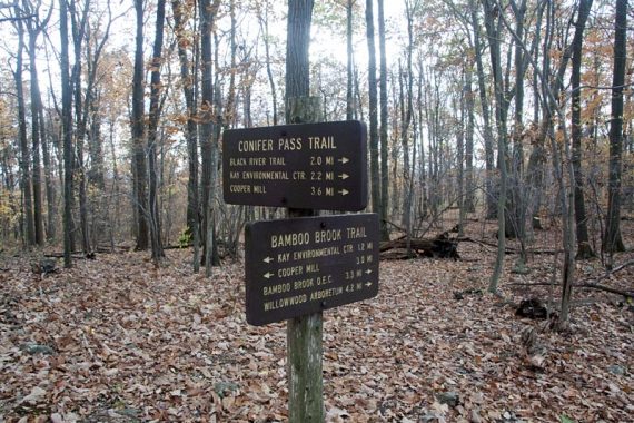 Trail sign for Conifer Pass