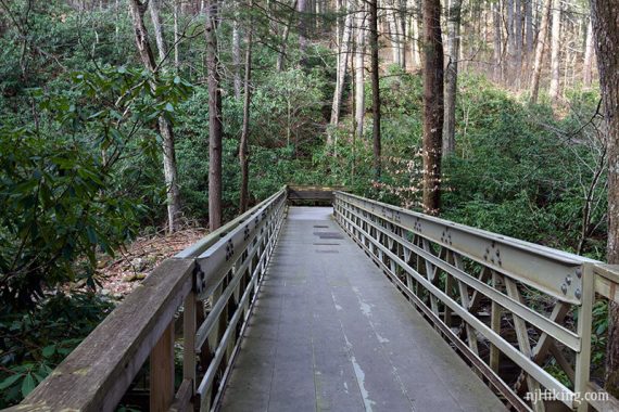 Accessible boardwalk