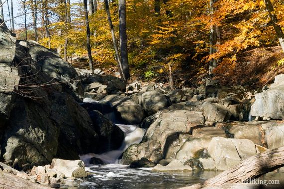 Water cascading over rocks surrounded by yellow and orange foliage.