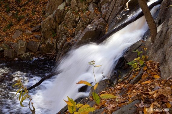 Close up of a branch in a waterfall.