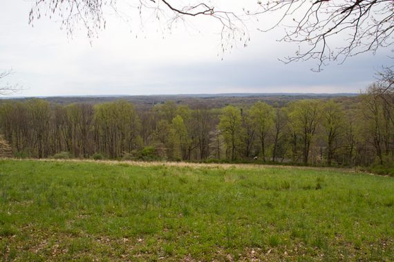 View from the BLUE trail