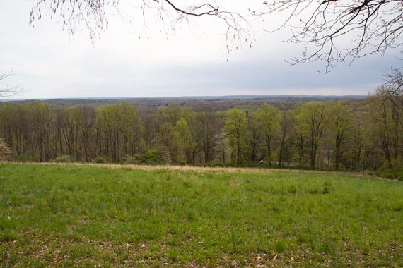 View from the BLUE trail