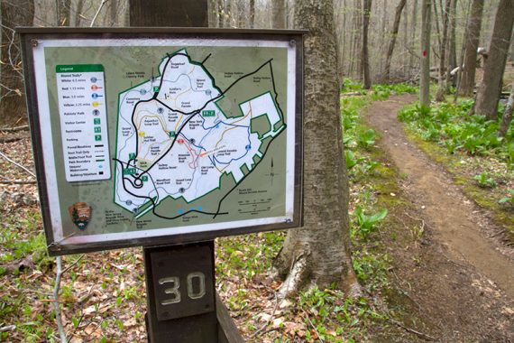 Trail map sign at an intersection.
