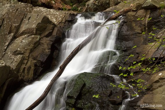 Close up of a branch laying in a waterfall.