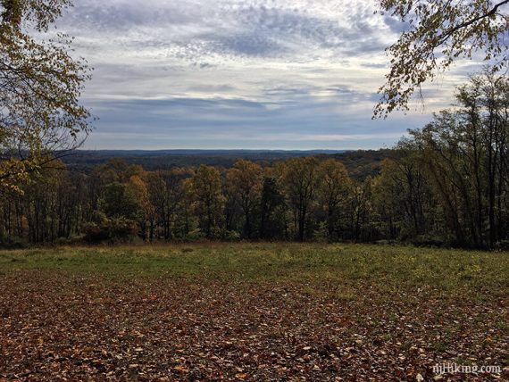 View from over trees from an open hill.