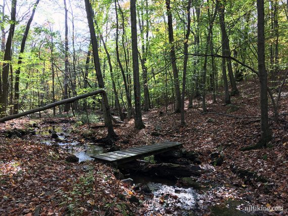 Wooden footbridge over a small stream.