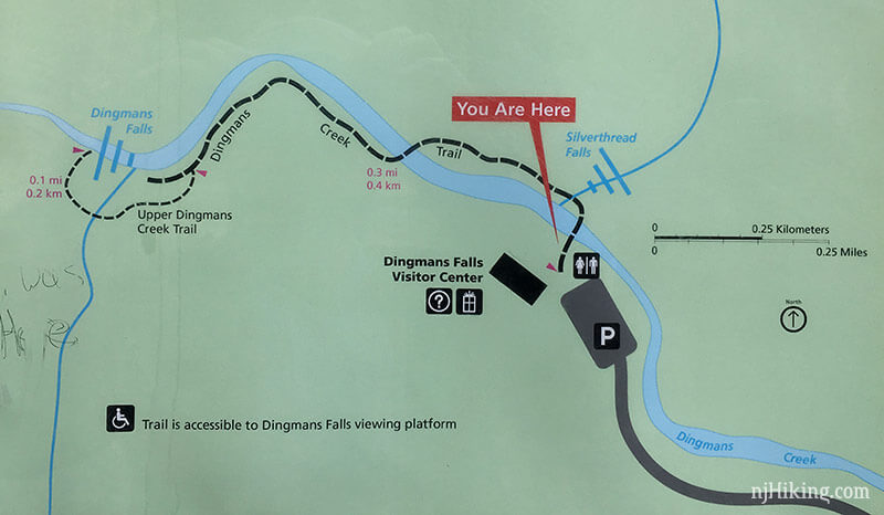 Dingmans Falls trail map