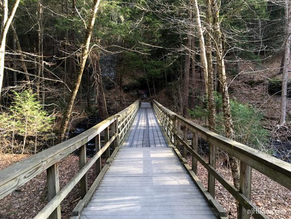 Wooden boardwalk trail