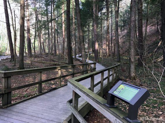 Boardwalk trail zig zagging through a forest