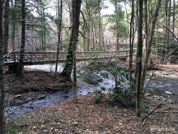 Boardwalk back near the entrance