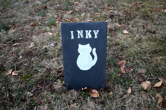 Inky the cat gravestone