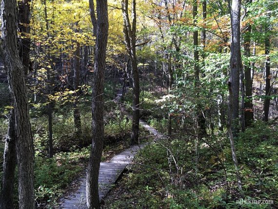 Long wooden boardwalk trail.