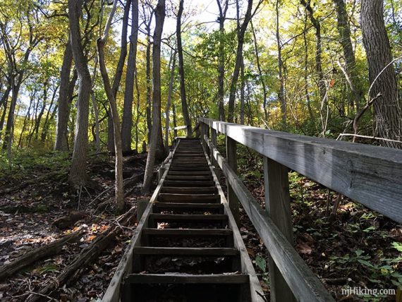 Looking up a long steps on a steep trail section.