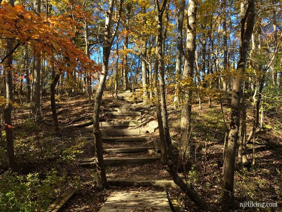 Wooden blocks used as steps up a hill.