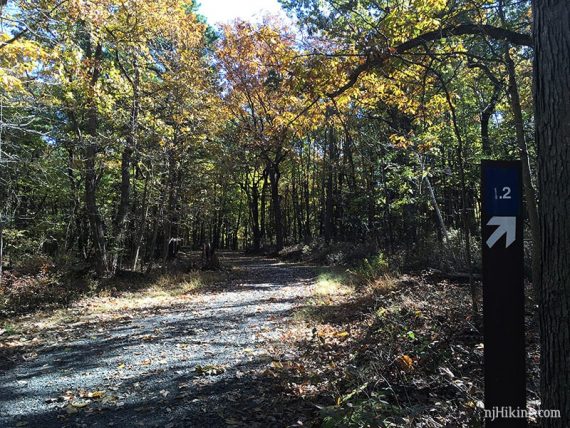 Flat gravel park road.