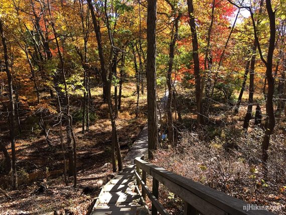 Long wooden staircase leading down into a marshy area.