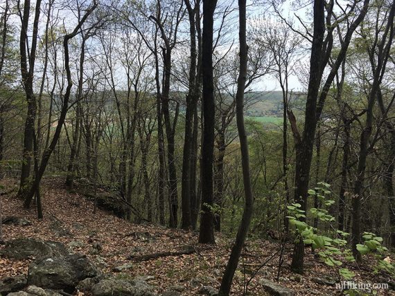 Limited view through trees.