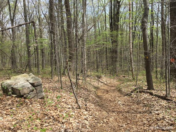 Grand Loop trail.