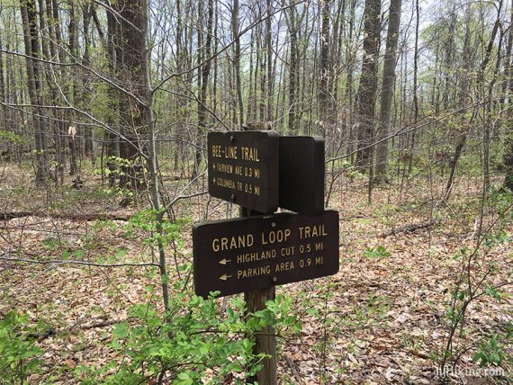 Trail sign at an intersection.