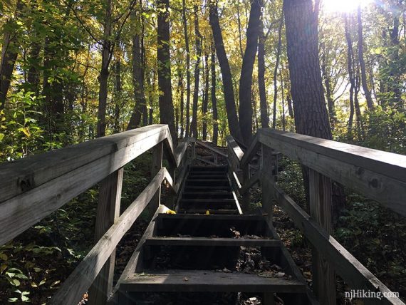 Looking up a steep wooden staircase.